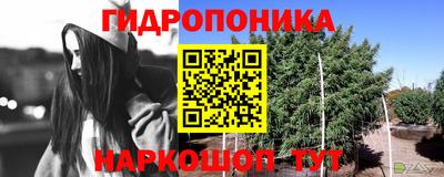 бошки Ижевск