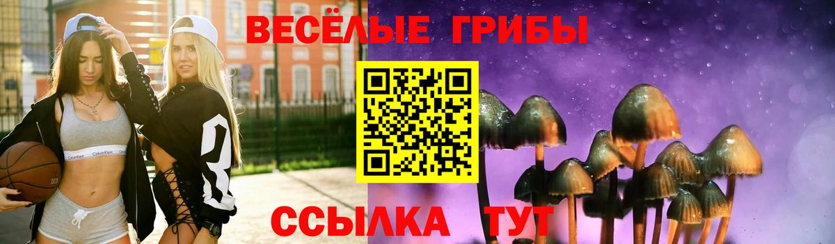 Боровичи  Галлюциногенные грибы Magic Shrooms  Вход с VPN  Псилоцибиновые грибы MAGIC MUSHROOMS 